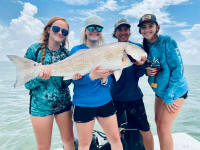 big redfish